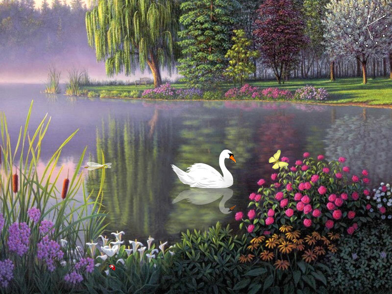 White Swan on Pond — Green