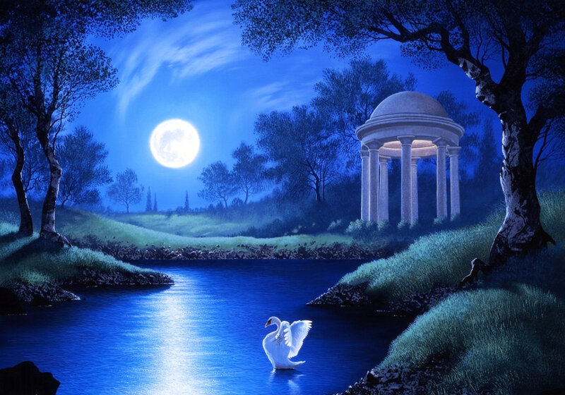 White Swan on River — Blue, Serene