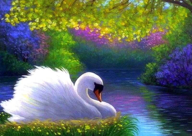 White Swan on River — Green, Serene, Spring