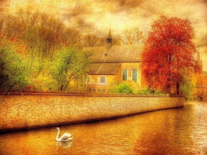 White Swan on River — Yellow