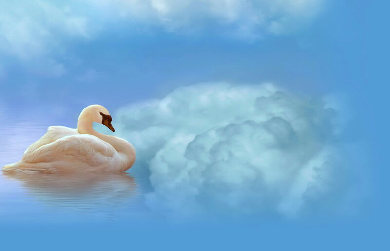 White Swan on Water — Blue, Serene, Digital Art, Clouds