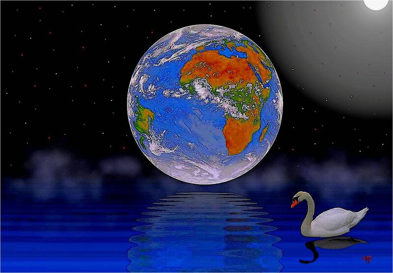 White Swan on Water — Blue, Serene, Night, Digital Art, Earth