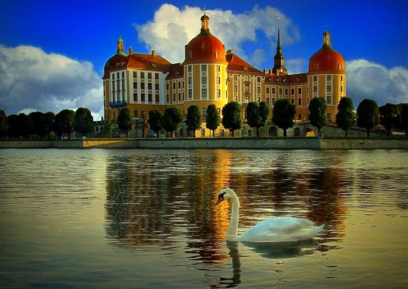 White Swan on Water — Blue, Serene, Sunset