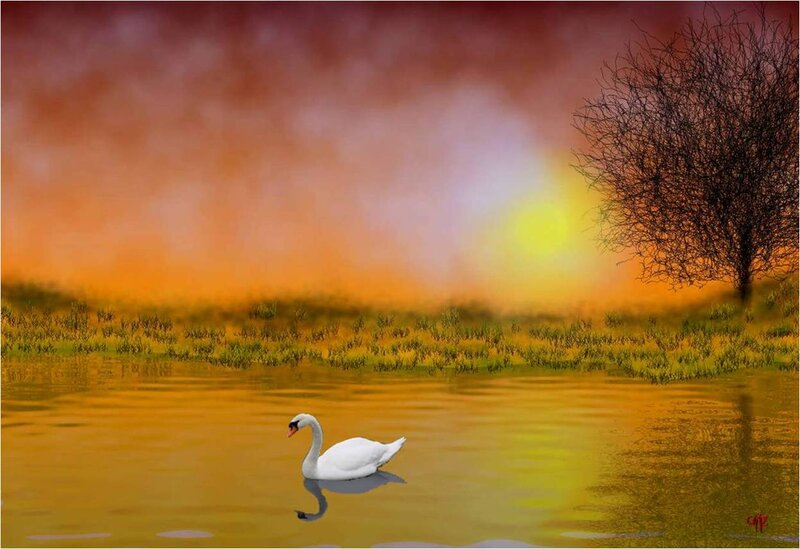 White Swan on Water — Orange, Serene, Sunset, Digital Art