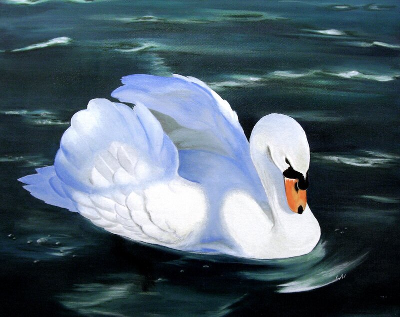White Swan on Water — Serene, Painting