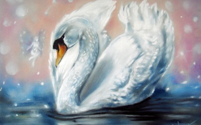 White Swan on Water — Serene, Winter