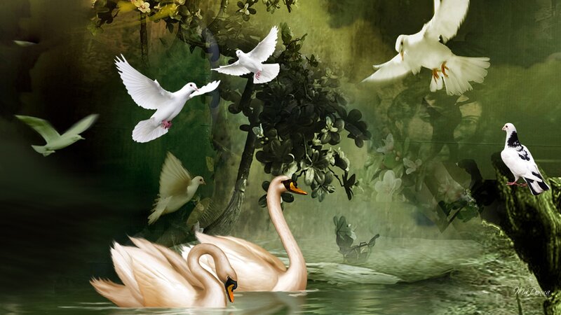 White Swans and Doves — Green