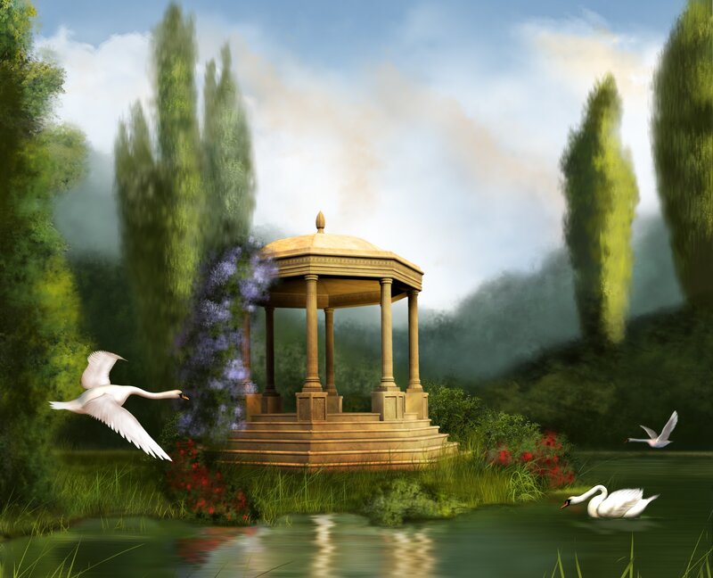 White Swans in Garden
