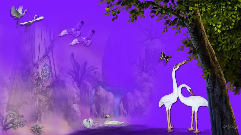White Swans in Purple Landscape