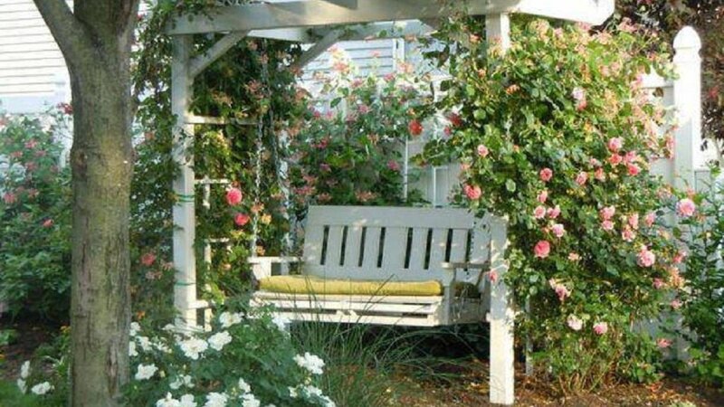 White Swing Bench — Green, Serene, Afternoon