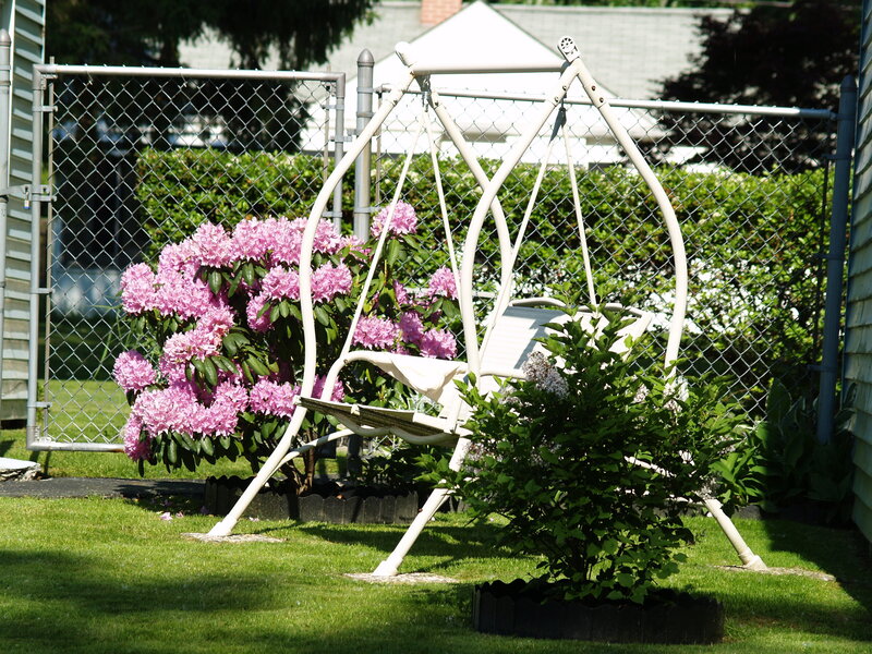 White swing in garden with flowers