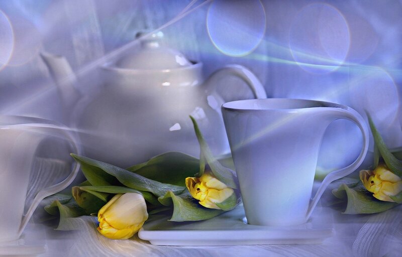 White Teacup with Tulips