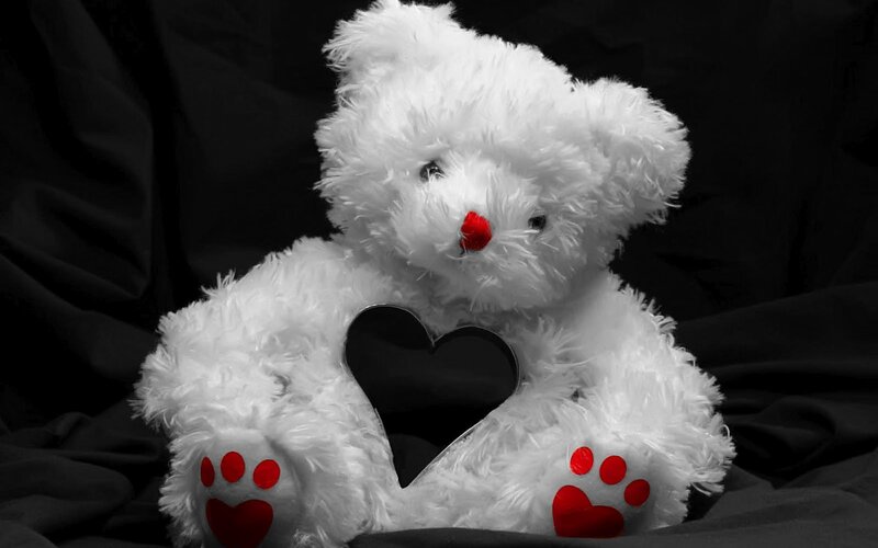 White Teddy Bear — Black, Dramatic