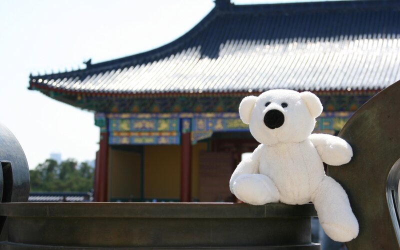 White Teddy Bear — Calm, Afternoon, Photograph