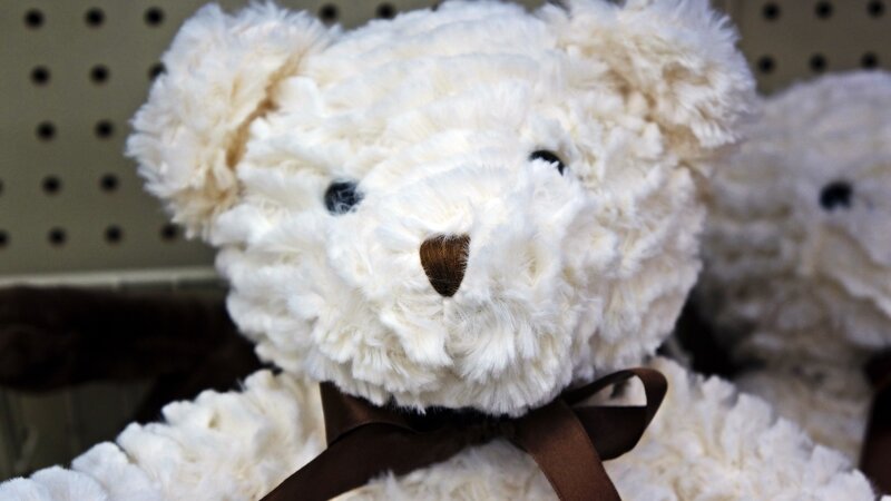 White Teddy Bear — Calm, Photograph, Brown Bow