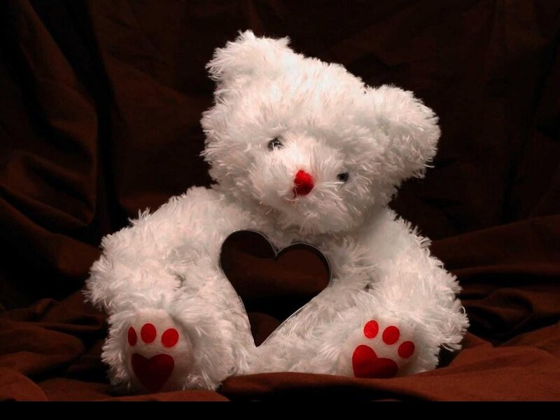 White Teddy Bear — Calm, Photograph, Heart, Paw Prints