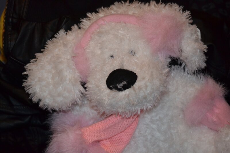 White Teddy Bear — Calm, Photograph, Pink Scarf