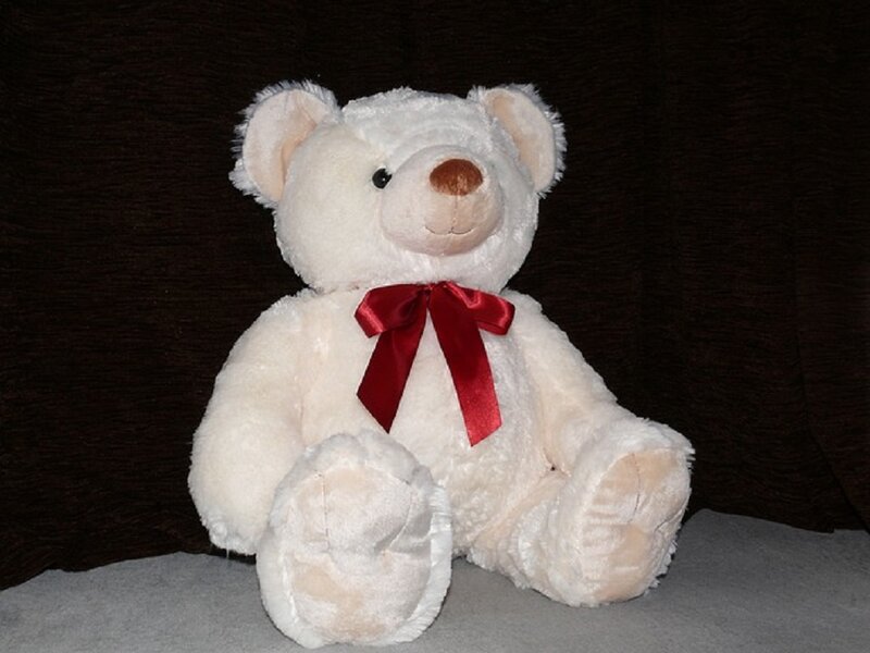 White Teddy Bear — Calm, Photograph, Red Bow