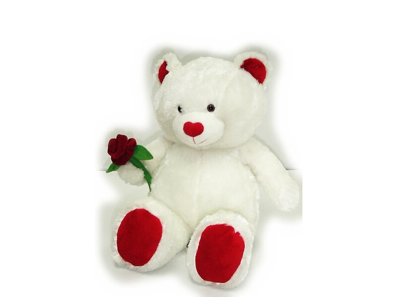 White Teddy Bear — Calm, Photograph, Red Rose