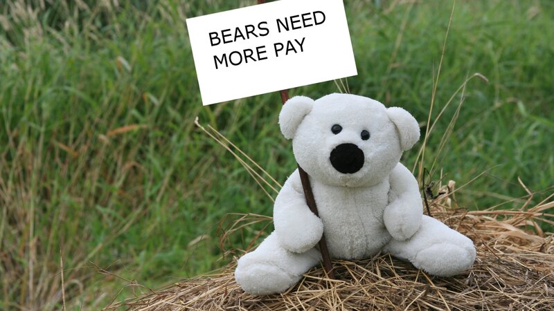 White Teddy Bear — Calm, Photograph, Sign