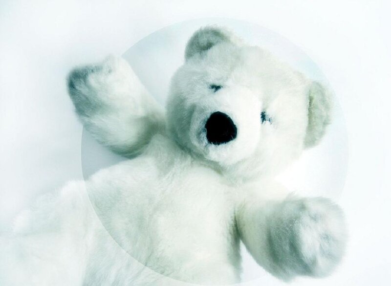 White Teddy Bear — Calm, Photograph, Stuffed Animal