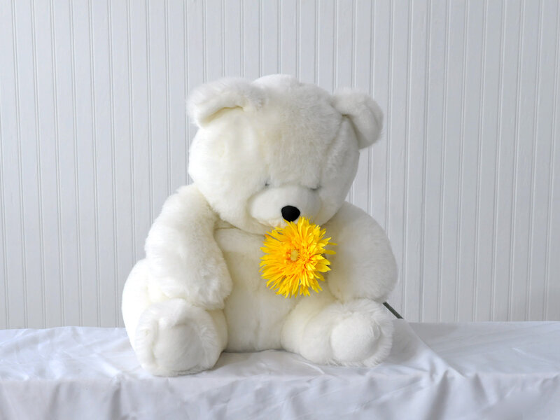 White Teddy Bear — Calm, Photograph