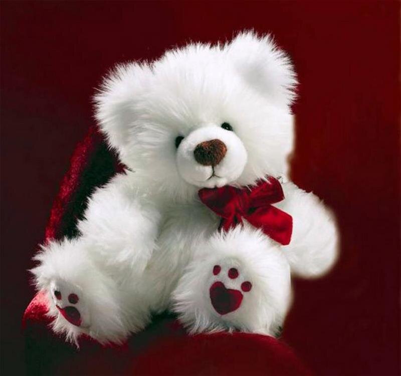 White Teddy Bear — Calm
