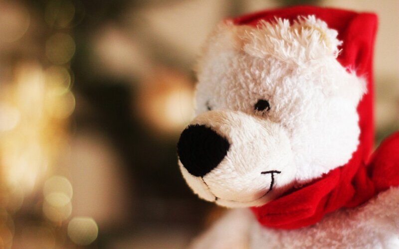 White Teddy Bear — Festive, Winter, Photograph