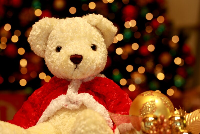 White Teddy Bear — Festive, Winter