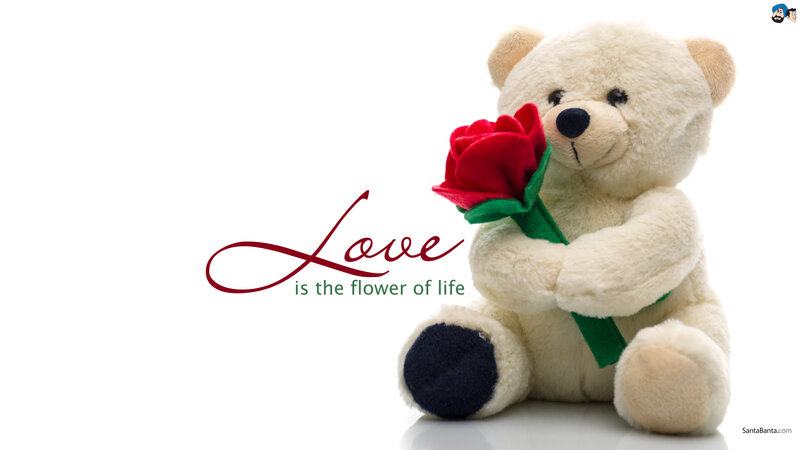 White Teddy Bear Holding Rose