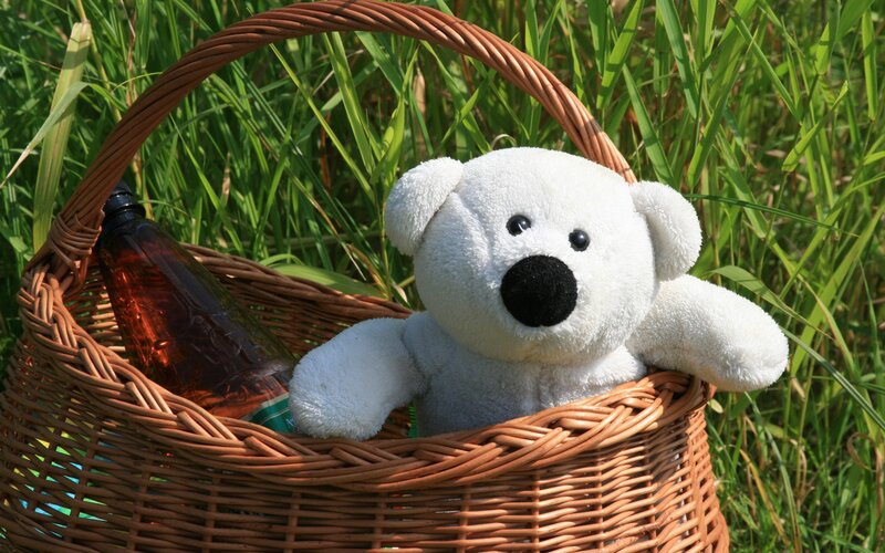 White Teddy Bear in Basket — Brown, Serene