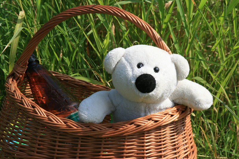 White Teddy Bear in Basket — Brown