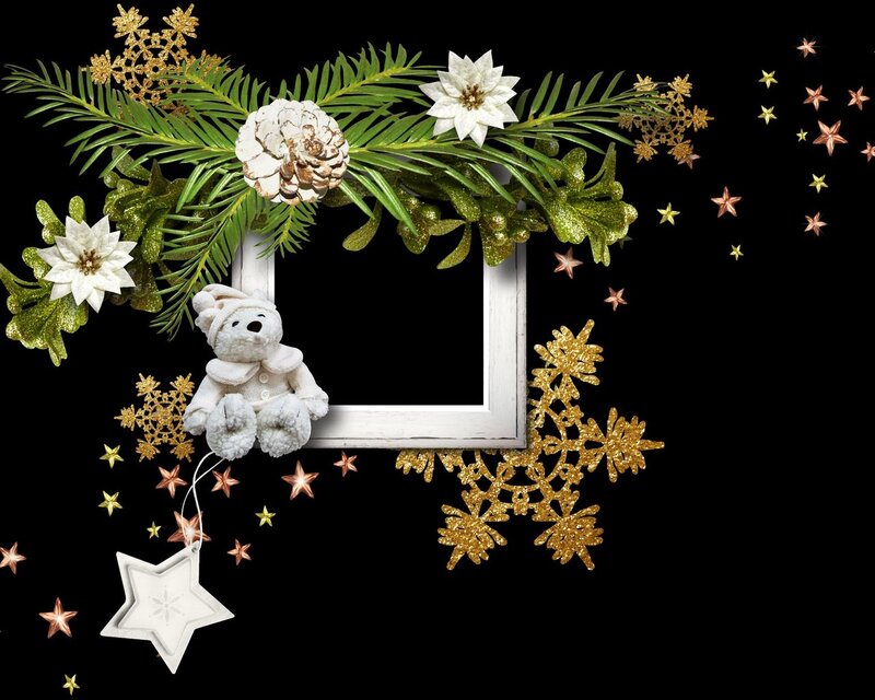 White Teddy Bear in Frame