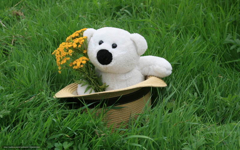 White Teddy Bear in Hat — Green, Peaceful