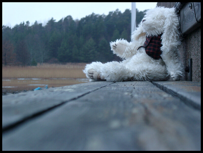 White teddy bear on a dock