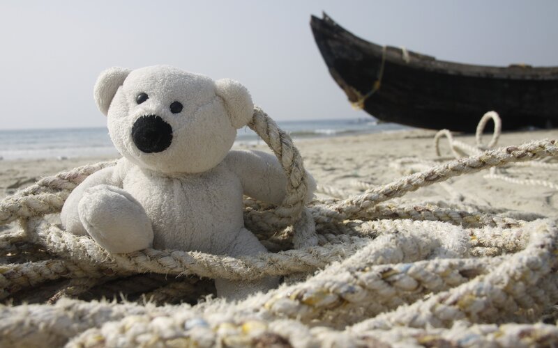 White Teddy Bear on Beach