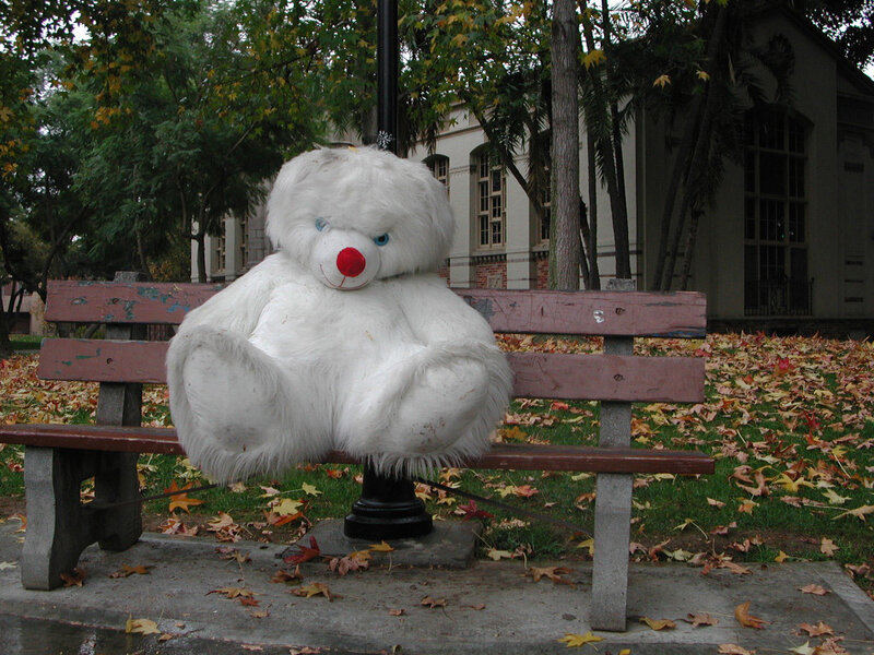 White Teddy Bear on Bench