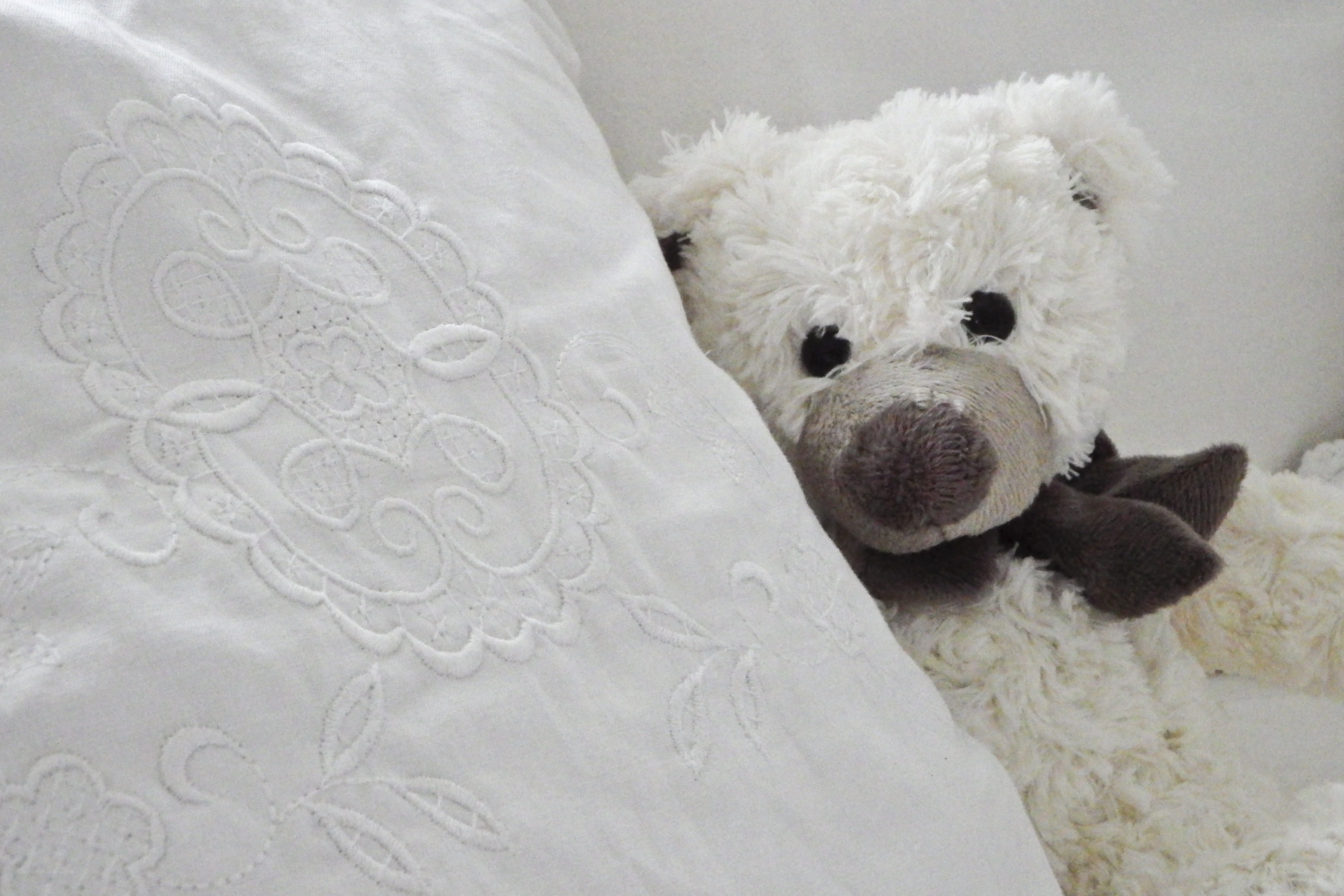 white teddy bear on pillow