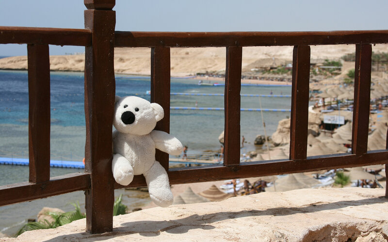 White Teddy Bear on Railing