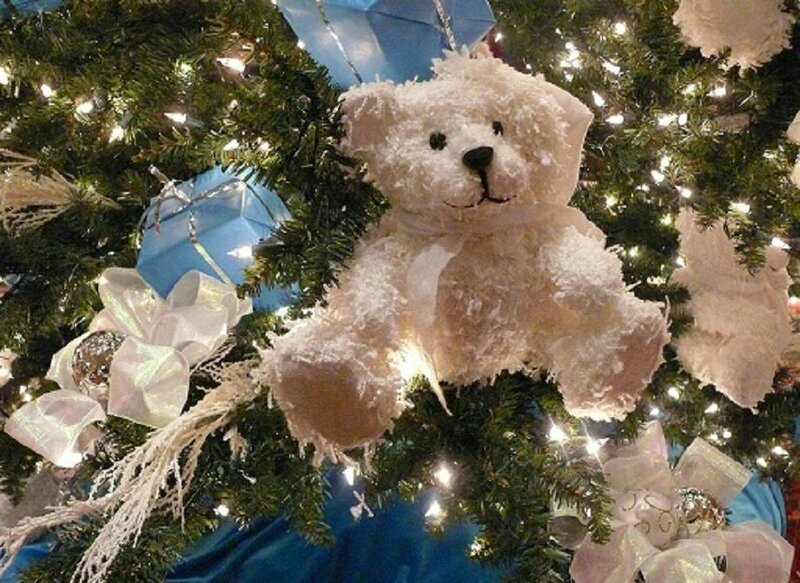 White Teddy Bear on Tree