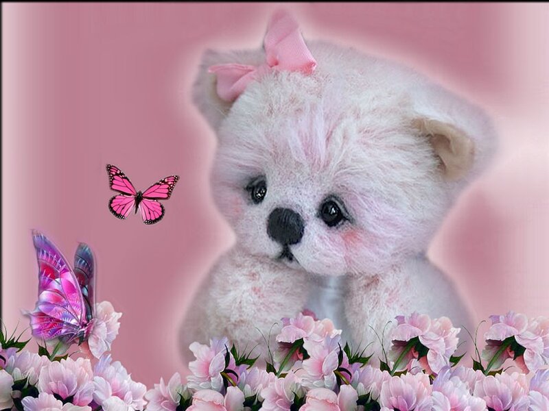 White Teddy Bear — Pink, Sweet