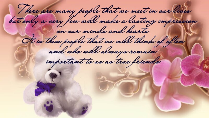 White Teddy Bear — Pink