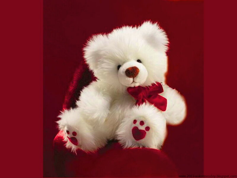 White Teddy Bear — Red, Calm