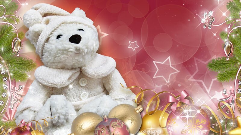 White Teddy Bear — Red, Festive