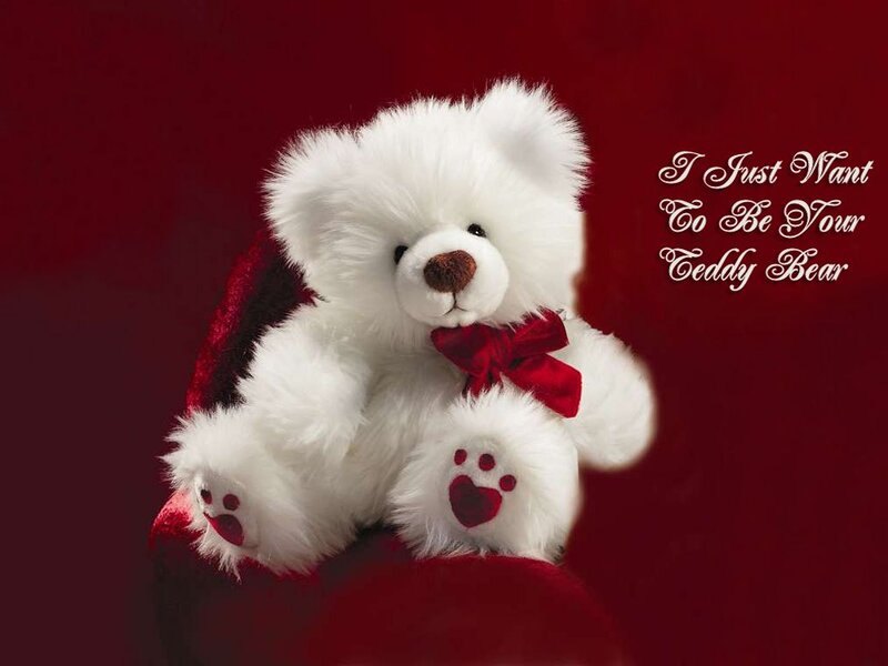 White Teddy Bear — Red, Romantic, Photograph