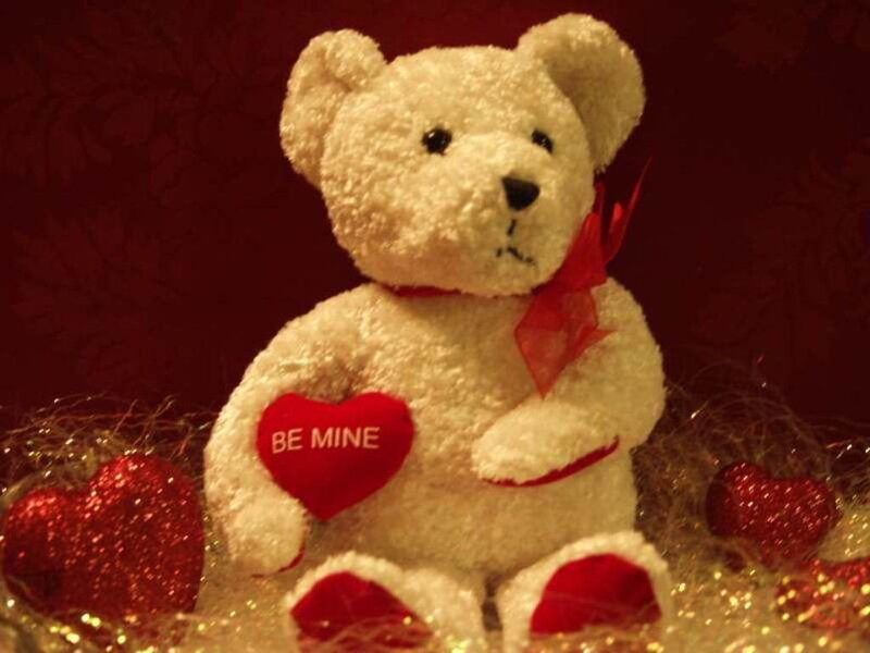 White Teddy Bear — Red, Romantic