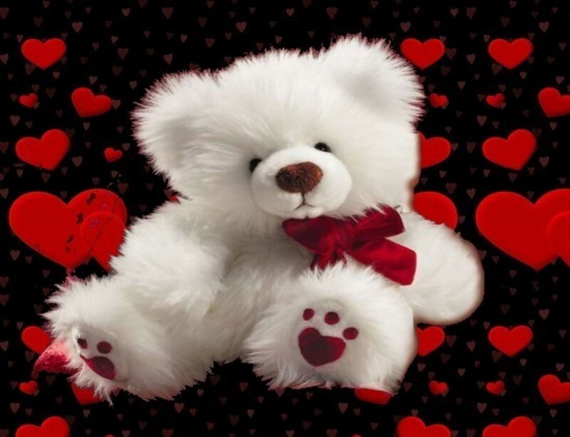 White Teddy Bear — Romantic, Photograph