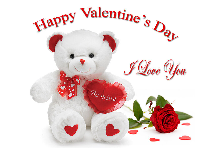 White Teddy Bear — Romantic