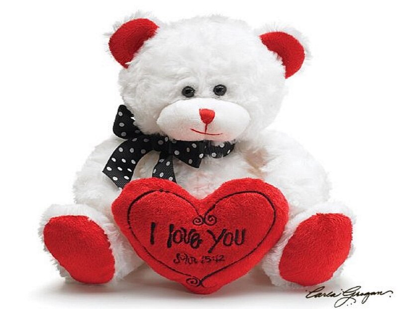 White Teddy Bear — Sentimental, Photograph, Heart, Bow Tie