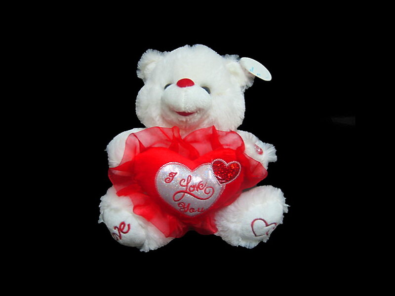 White Teddy Bear — Sentimental, Photograph, Heart